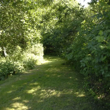 Single Storey ,large,beautiful Holiday ,germany. * Ribnitz-Damgarten