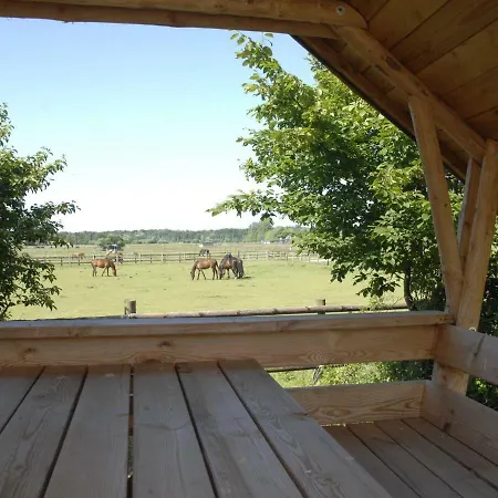 Single Storey ,large,beautiful Holiday ,germany. Holiday home *